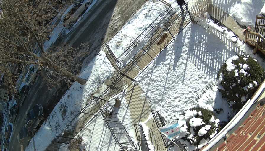 Reolink Camera Two_01_Reolink Home Hub One_20260129093433.jpg